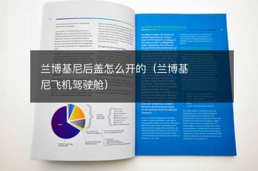 兰博基尼后盖怎么开的（兰博基尼飞机驾驶舱）
