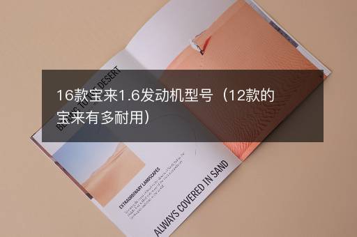16款宝来1.6发动机型号（12款的宝来有多耐用）