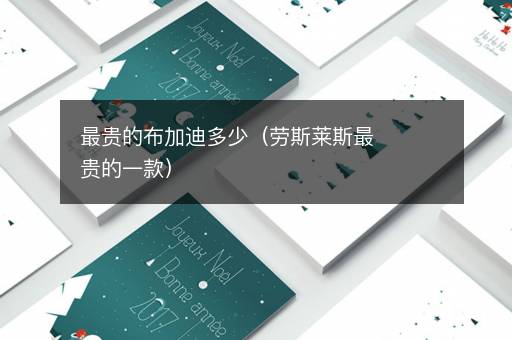 最贵的布加迪多少（劳斯莱斯最贵的一款）